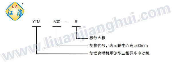 YTM磨煤機用高壓三相異步電動機_型號意義說明_六安江淮電機有限公司
