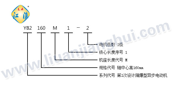 YB2高壓隔爆型三相異步電動機_型號意義說明_六安江淮電機有限公司